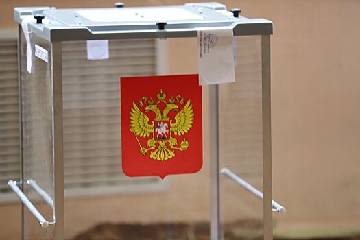 Официально: на выборах в Подмосковье нарушений не выявлено
