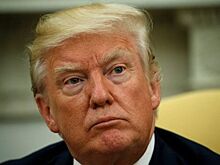 Личный адвокат Трампа подал в отставку