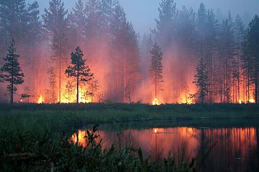 В минувшие три дня в Карелии произошло 14 пожаров. В Минприроды назвали причины