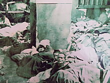 Определённые к уничтожению. Хронология массового убийства и одного спасения наиболее беззащитной группы жителей Березанской психиатрической колонии