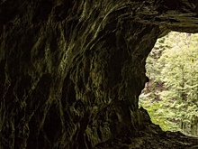 «Интимное окно»: найден старейший наскальный рисунок в мире