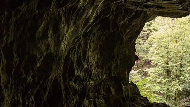 «Интимное окно»: найден старейший наскальный рисунок в мире