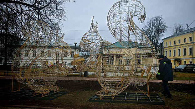 Трехметровые белки появились в центре Костромы