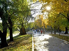 В лесопарках Москвы пройдут бесплатные экскурсии