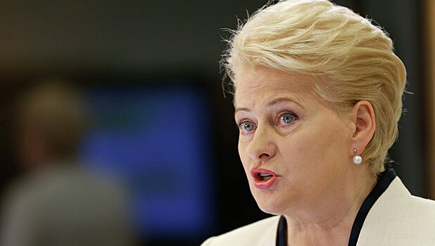 Президент Литвы одобрила штрафы за "враждебную пропаганду"