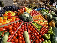 В Волгоградской области активно развивают переработку овощной продукции