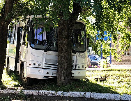 Отказали тормоза: автобус «Башавтотранса» врезался в дерево