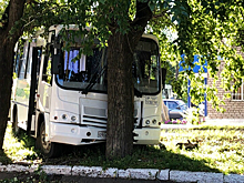 Отказали тормоза: автобус «Башавтотранса» врезался в дерево