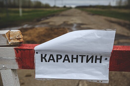 Власти Саратовской области снимают карантин во всех детдомах региона