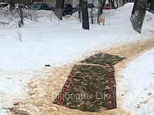 Россияне нашли новый способ использования ковров зимой