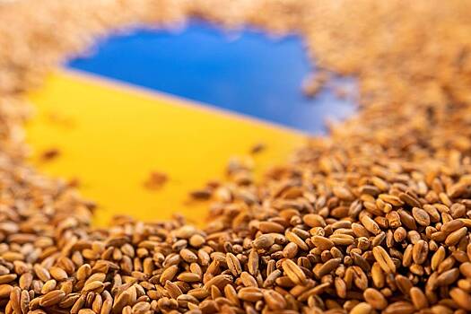 В Польше заявили о сохранении запрета на ввоз украинского зерна