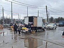 199 протоколов было составлено за несанкционированную торговлю цветами