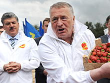 Грудинин проспорил центнер клубники