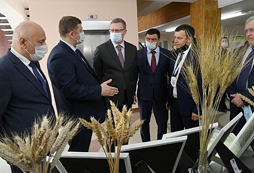 «Сельскохозяйственные производителям могут стать независимыми от западной селекции и генетики ...