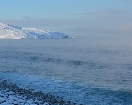 На закупках для защиты Крайнего севера росгвардейцы ухитрились распилить больше половины