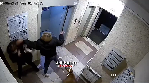 Агрессивная собачница избила кемеровчанку за жалобу на бойцового пса без намордника