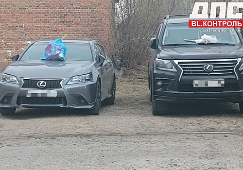 Ночью в Благовещенске неизвестный мужчина разложил мешки с мусором на чужие автомобили