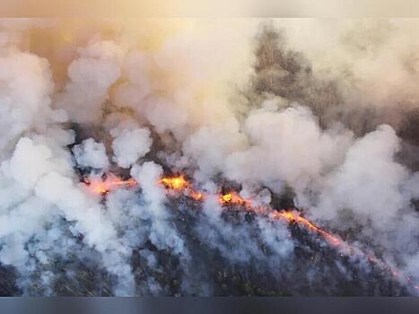 В Забайкалье к тушению лесного пожара привлекли более 180 человек