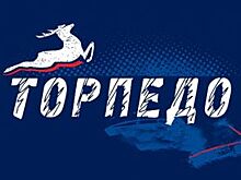 Защитник системы ЦСКА Егор Огиенко перешел в «Торпедо»