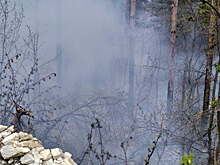 С лесным пожаром в Хвалынском национальном парке борются уже 150 человек