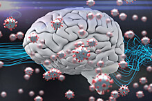Коронавирус влияет на мозг подобно болезни Паркинсона