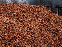 На Ставрополье начали выпускать пеллеты из кукурузной кочерыжки
