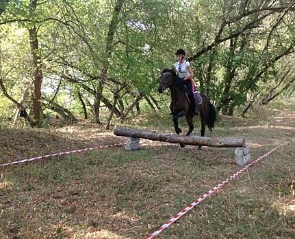Известны победители Кубка Курской области по спортивному туризму на конной дистанции