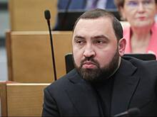 Хамзаев: Дума вынужденно подключилась к проблеме с бездомными собаками