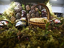 Свердловская и Курганская области попали под управление челябинского Россельхознадзора