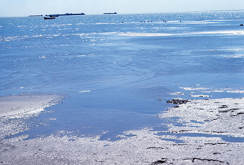Вид на Аральское море в районе города Муйнака, 1973 год