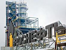 «Роснефть» вложила в «зеленые» проекты 55 миллиардов рублей