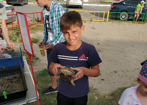 «Трогательный зоопарк» работает в Ханты-Мансийске