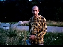 Активисты обеспокоены судьбой кедровой аллеи в парке «Швейцария»