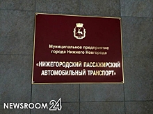 И.о. гендиректора «Нижегородпассажиравтотранс» назначен Никита Злобин