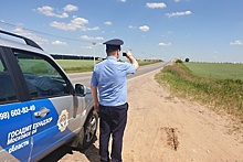 Более 1 тыс нарушений в содержании вылетных магистралей устранили в Подмосковье