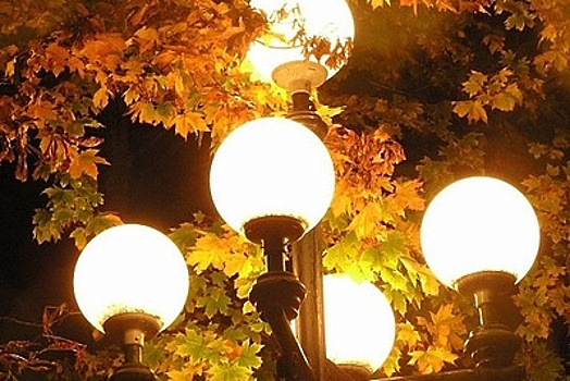 В Подмосковье замену уличных светильников на энергоэффективные завершат к 2020 году