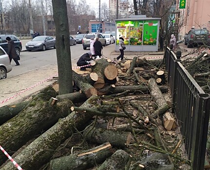 Возле станции метро «Удельная» начали вырубать деревья