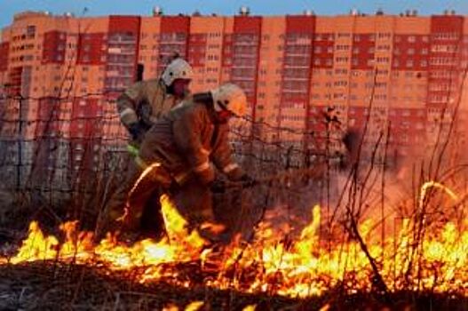 С начала года рязанские огнеборцы 279 раз выезжали на тушение сухой травы