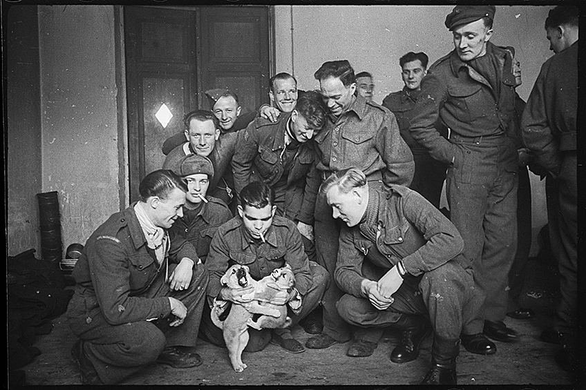 Англичане, освобожденные из немецкого плена краснознаменцами, забавляются с собаками, вывезенными из Германии. Дата неизвестна