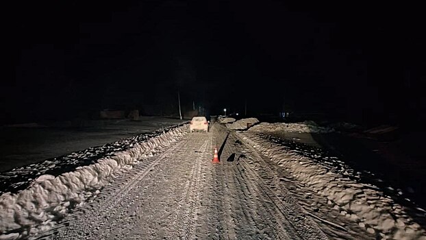 Пьяный водитель Toyota насмерть сбил пешехода в Новосибирской области