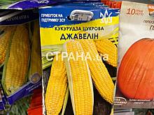 Украинцам предложили вырастить свеклу «Бандера» и кукурузу «Джавелин»