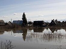 Шумков сообщил о стабилизации воды в Кургане