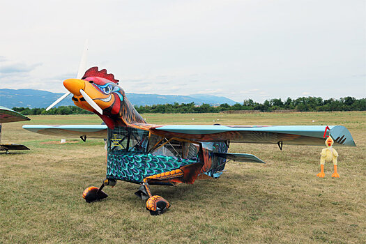 Пассажирам запретили провозить в ручной клади мясную продукцию из Европы