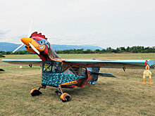 Пассажирам запретили провозить в ручной клади мясную продукцию из Европы