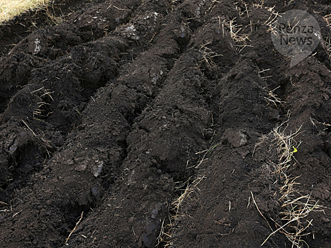 В Пензенской области известкование кислых почв проведут на 26 тыс. га