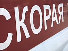 На Ставрополье «Лада» врезалась в дерево: много погибших