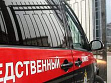 Депутат сельсовета сбил двух женщин. Одна из них скончалась