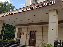 Члена общественной палаты Воронежской области признали банкротом