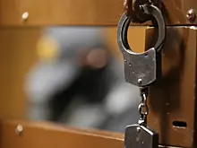 Какое наказание грозит россиянке за разгром проданного по «схеме Долиной» жилья