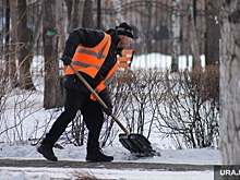Курганским дворникам выплатили долги по зарплате. Новости URA.RU работают